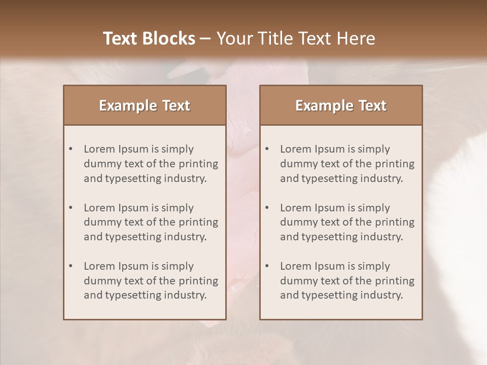 Gass Fauna Kitten PowerPoint Template