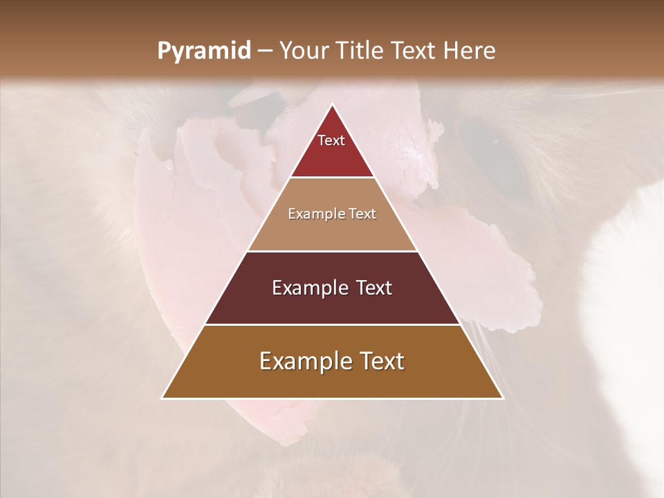 Gass Fauna Kitten PowerPoint Template