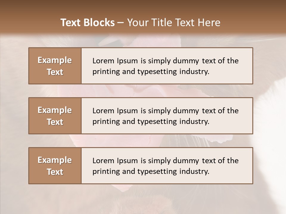 Gass Fauna Kitten PowerPoint Template