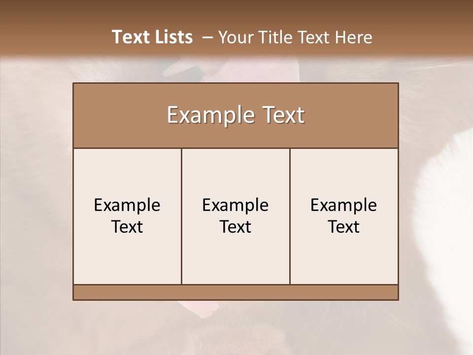 Gass Fauna Kitten PowerPoint Template