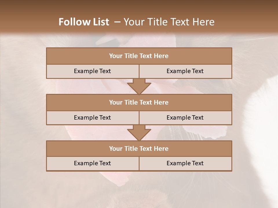 Gass Fauna Kitten PowerPoint Template