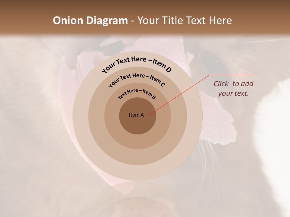 Gass Fauna Kitten PowerPoint Template