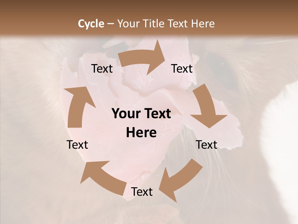 Gass Fauna Kitten PowerPoint Template