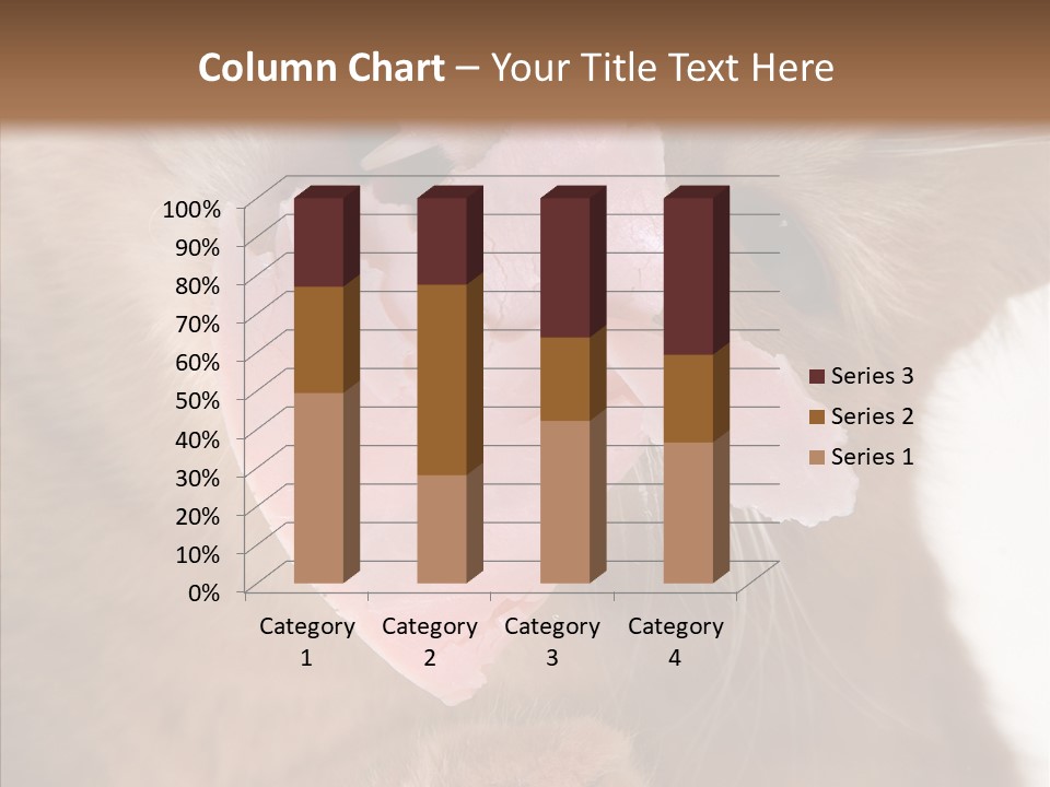 Gass Fauna Kitten PowerPoint Template