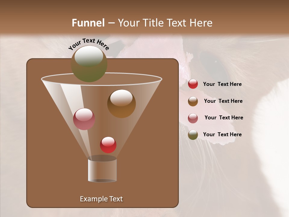 Gass Fauna Kitten PowerPoint Template