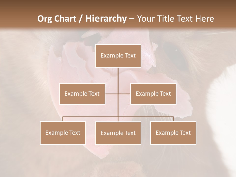 Gass Fauna Kitten PowerPoint Template