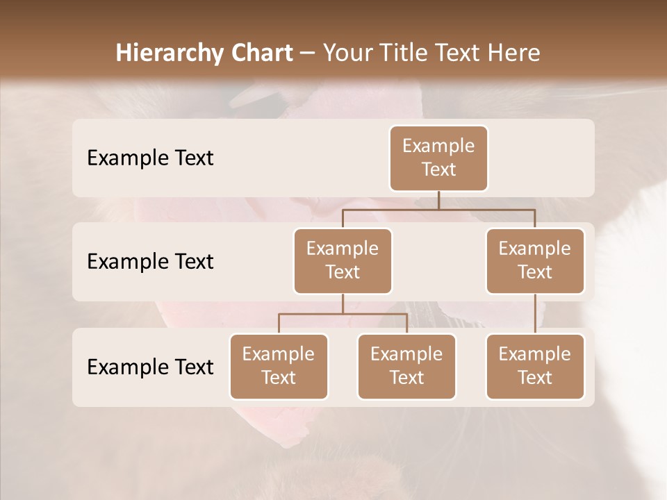 Gass Fauna Kitten PowerPoint Template