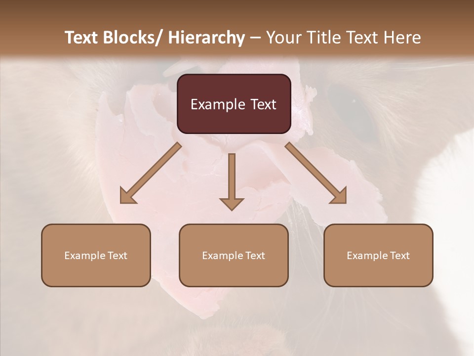 Gass Fauna Kitten PowerPoint Template