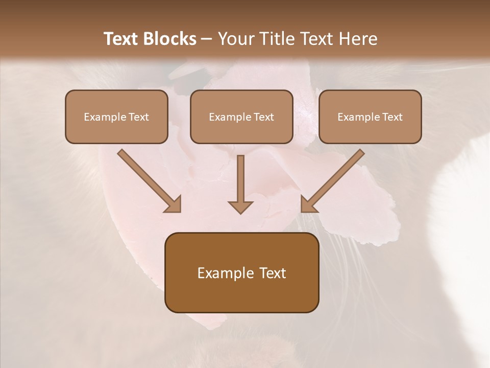 Gass Fauna Kitten PowerPoint Template