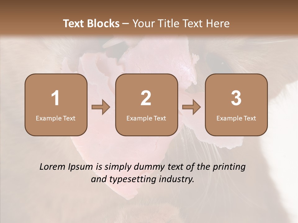 Gass Fauna Kitten PowerPoint Template