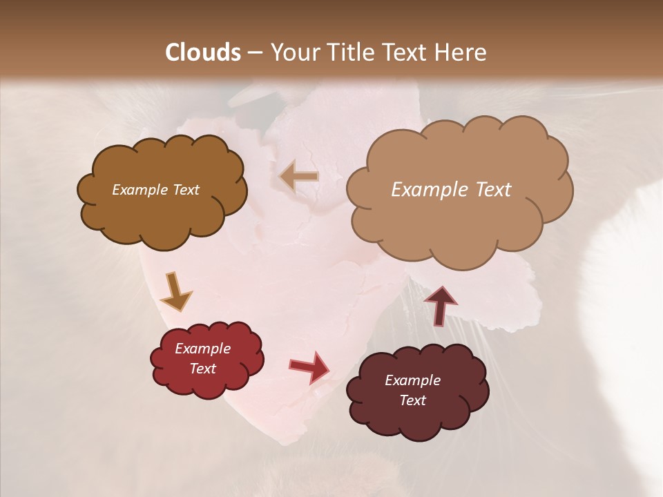 Gass Fauna Kitten PowerPoint Template