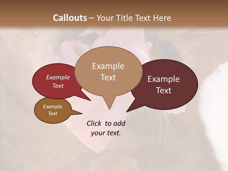 Gass Fauna Kitten PowerPoint Template