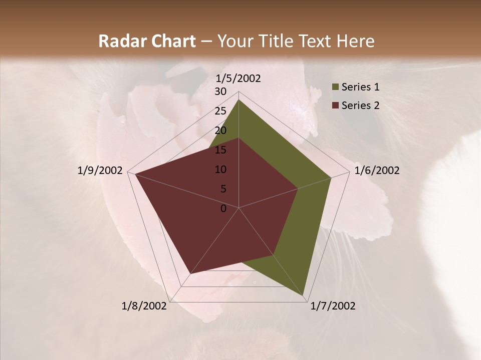 Gass Fauna Kitten PowerPoint Template