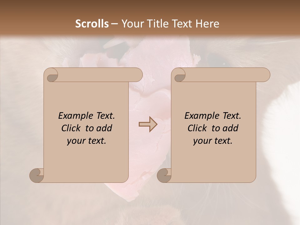 Gass Fauna Kitten PowerPoint Template