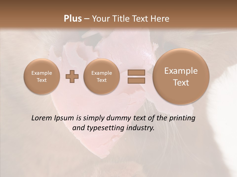 Gass Fauna Kitten PowerPoint Template