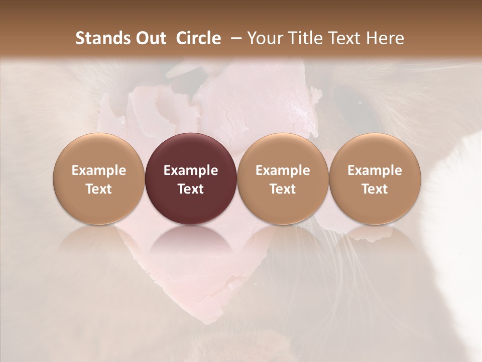 Gass Fauna Kitten PowerPoint Template