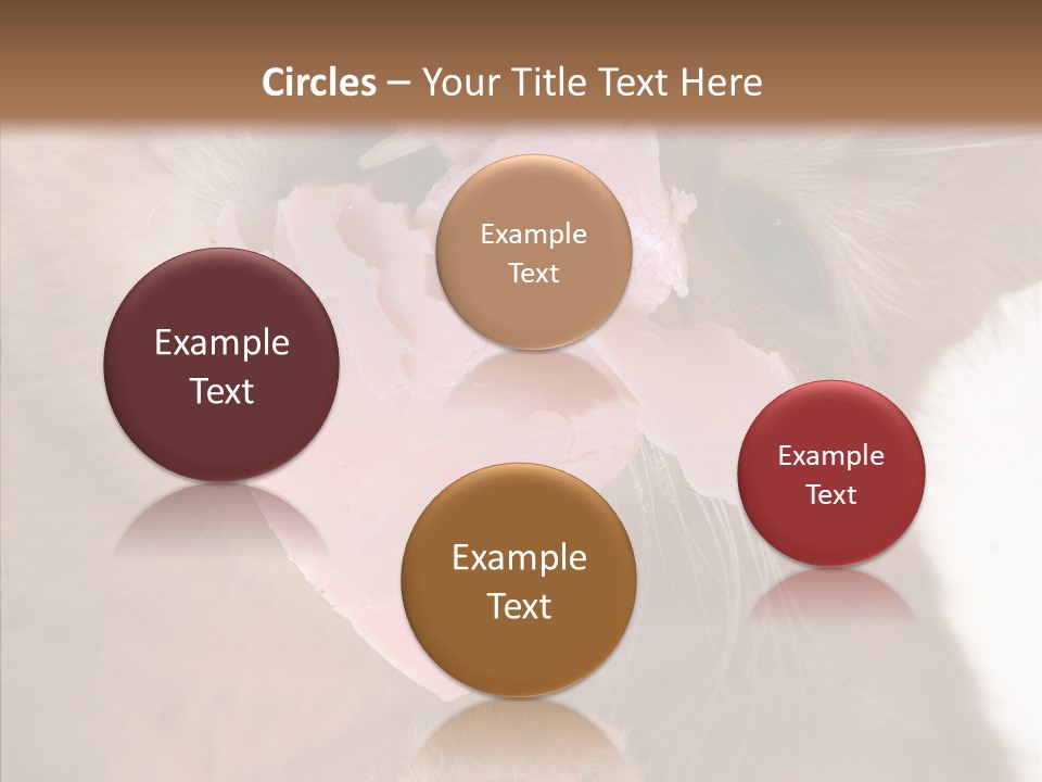 Gass Fauna Kitten PowerPoint Template