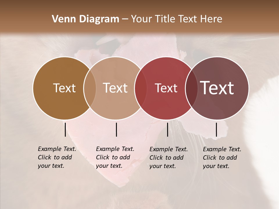 Gass Fauna Kitten PowerPoint Template