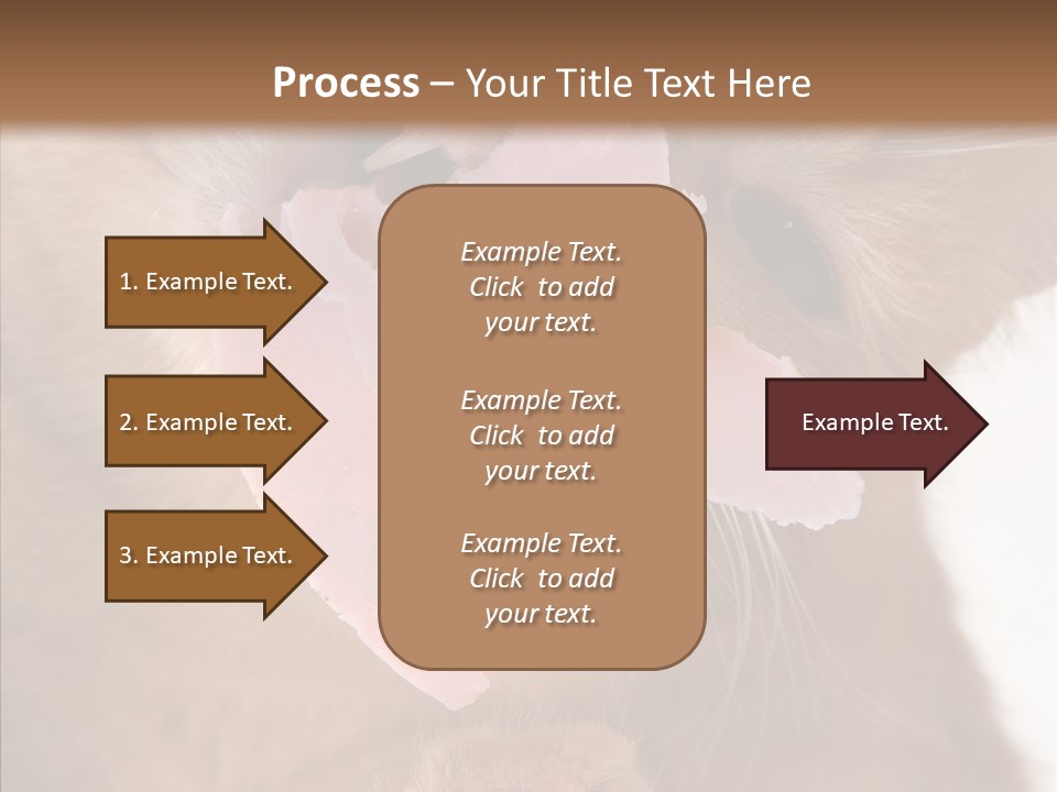 Gass Fauna Kitten PowerPoint Template