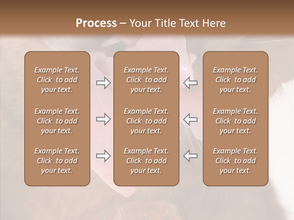 Gass Fauna Kitten PowerPoint Template