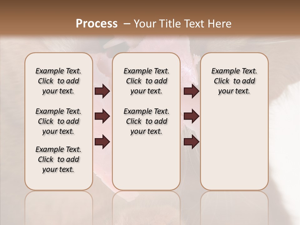 Gass Fauna Kitten PowerPoint Template