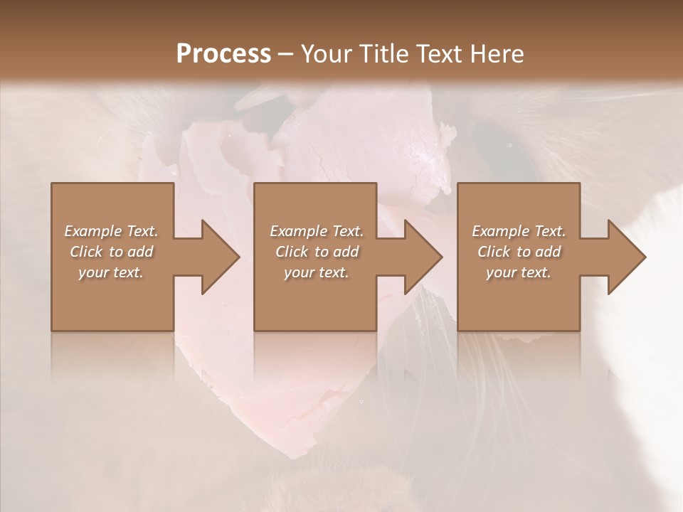 Gass Fauna Kitten PowerPoint Template