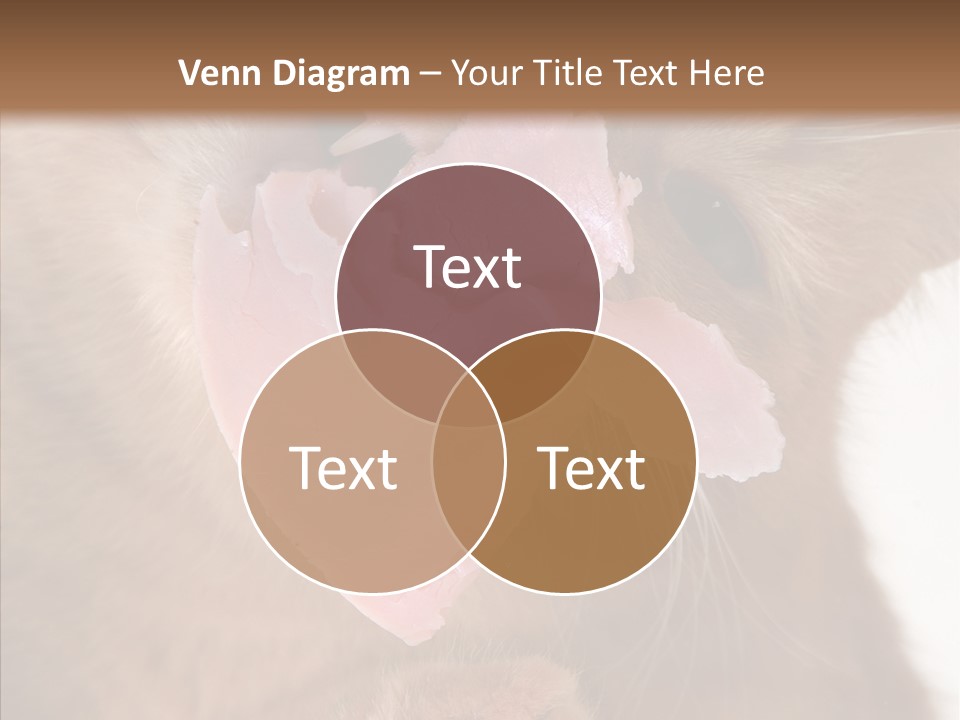 Gass Fauna Kitten PowerPoint Template