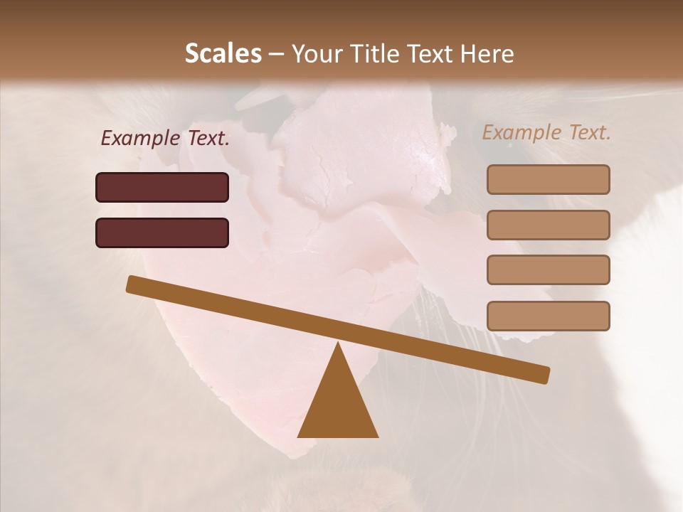 Gass Fauna Kitten PowerPoint Template