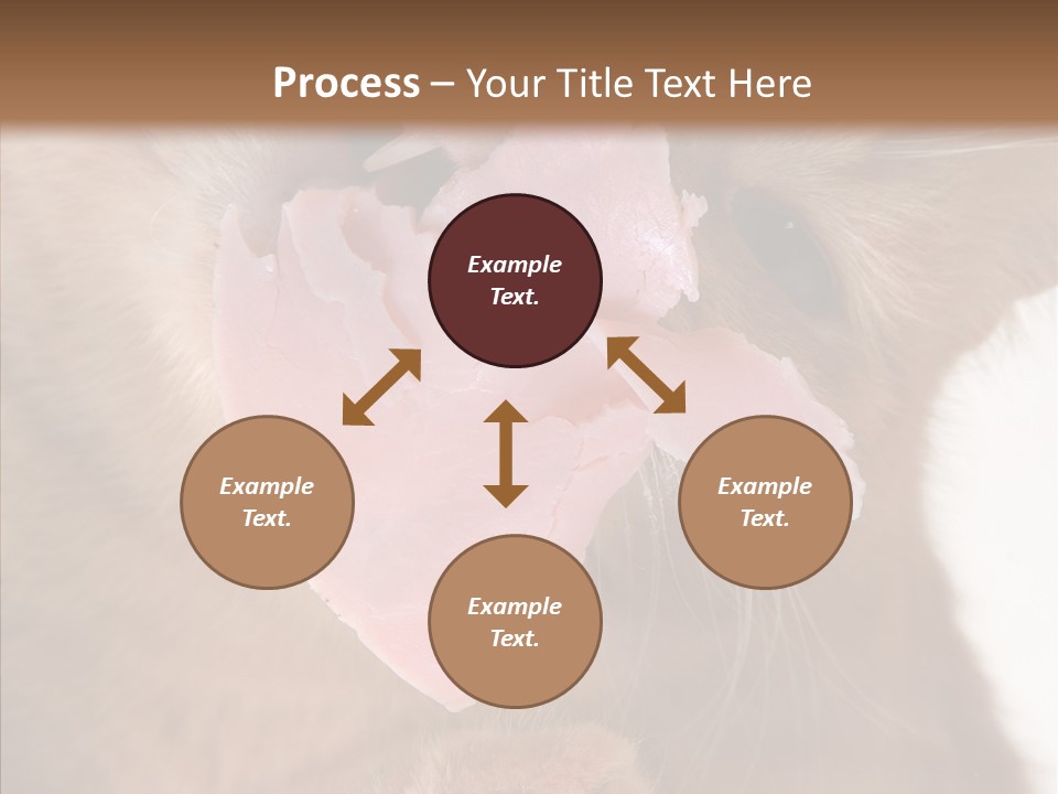 Gass Fauna Kitten PowerPoint Template