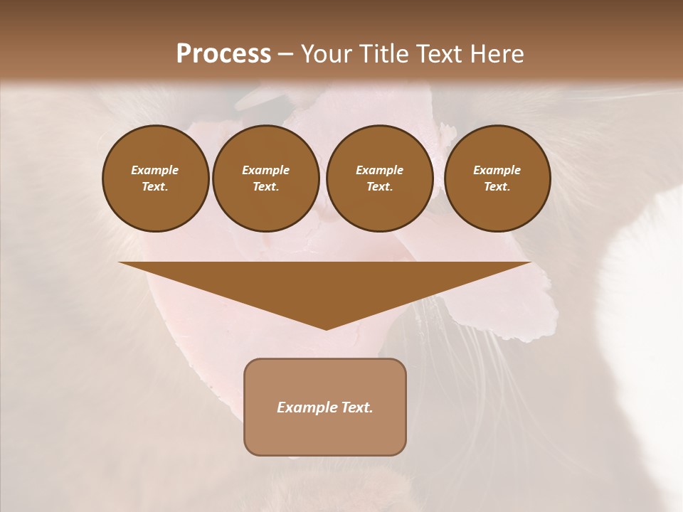 Gass Fauna Kitten PowerPoint Template