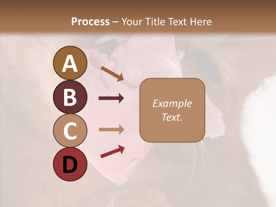 Gass Fauna Kitten PowerPoint Template