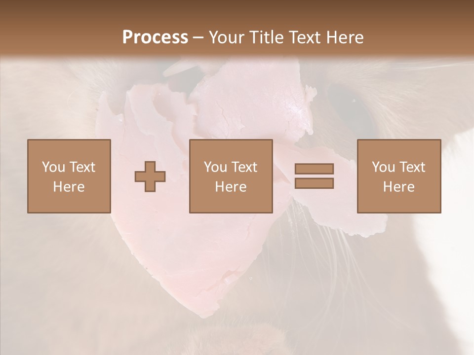 Gass Fauna Kitten PowerPoint Template