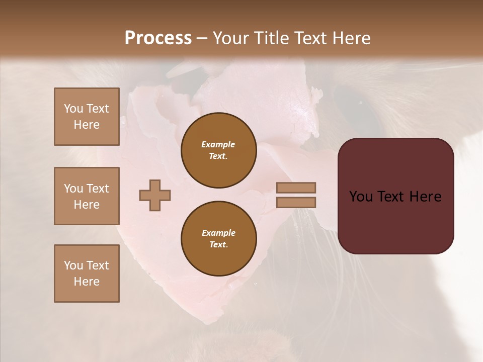 Gass Fauna Kitten PowerPoint Template