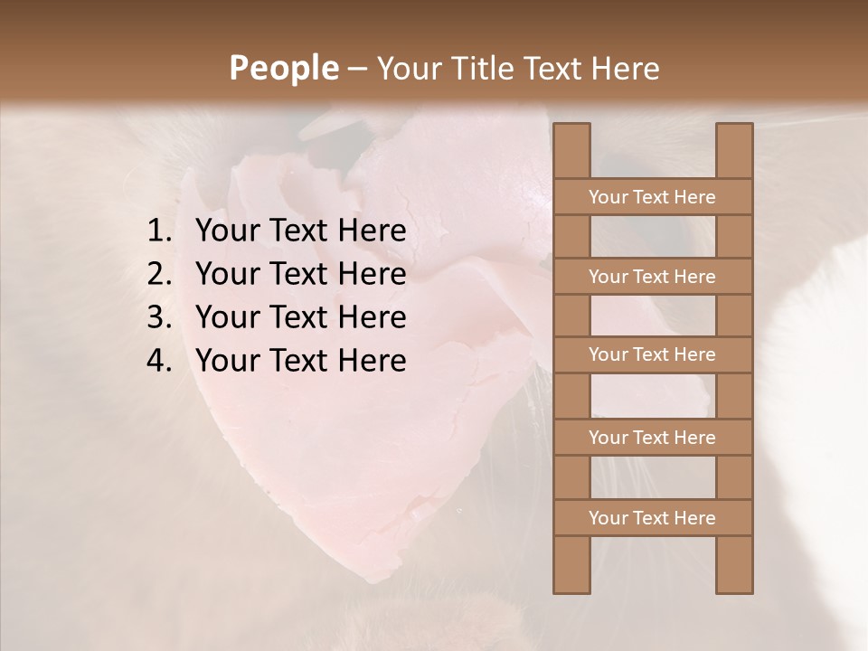 Gass Fauna Kitten PowerPoint Template