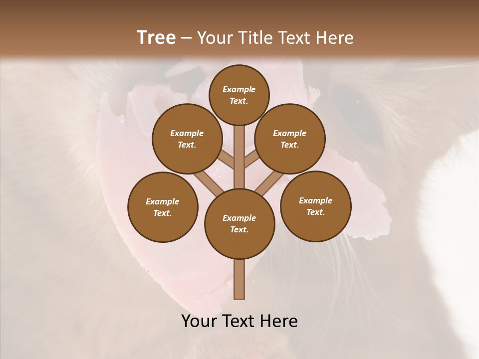 Gass Fauna Kitten PowerPoint Template