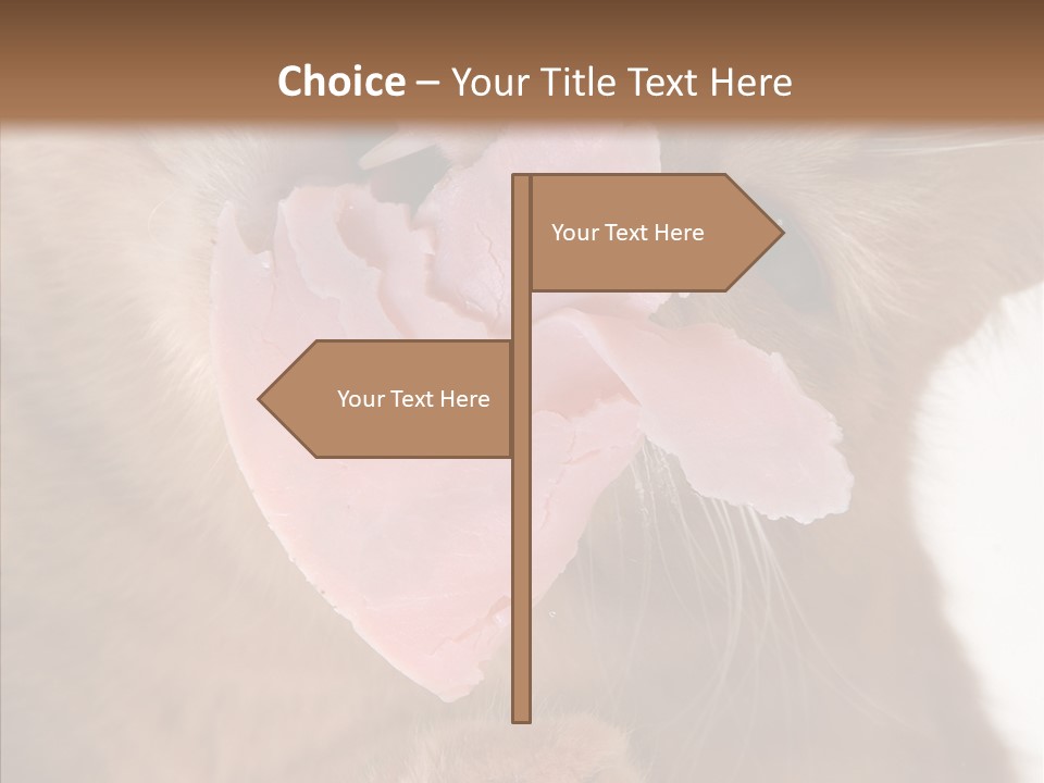 Gass Fauna Kitten PowerPoint Template