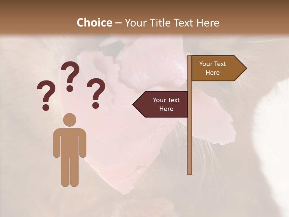 Gass Fauna Kitten PowerPoint Template