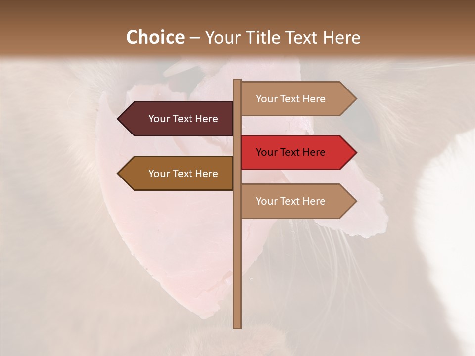 Gass Fauna Kitten PowerPoint Template