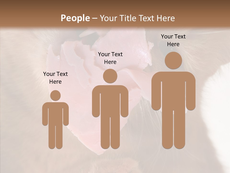 Gass Fauna Kitten PowerPoint Template