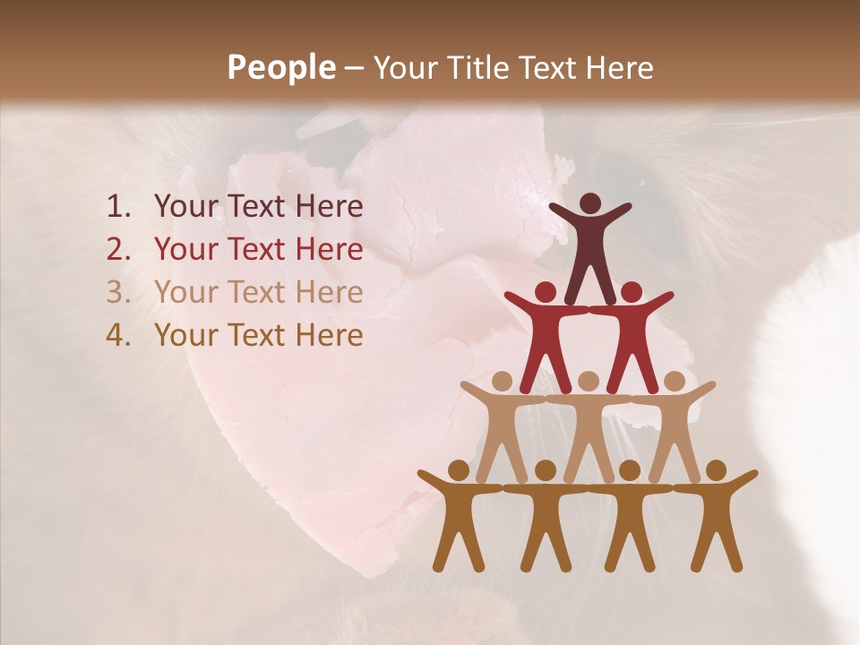 Gass Fauna Kitten PowerPoint Template