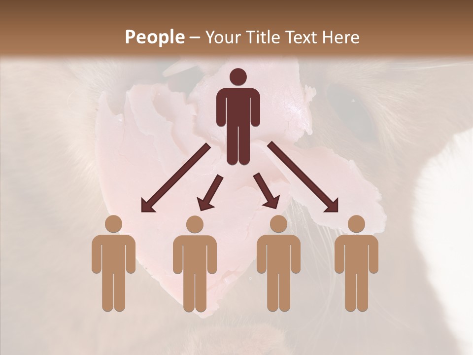 Gass Fauna Kitten PowerPoint Template