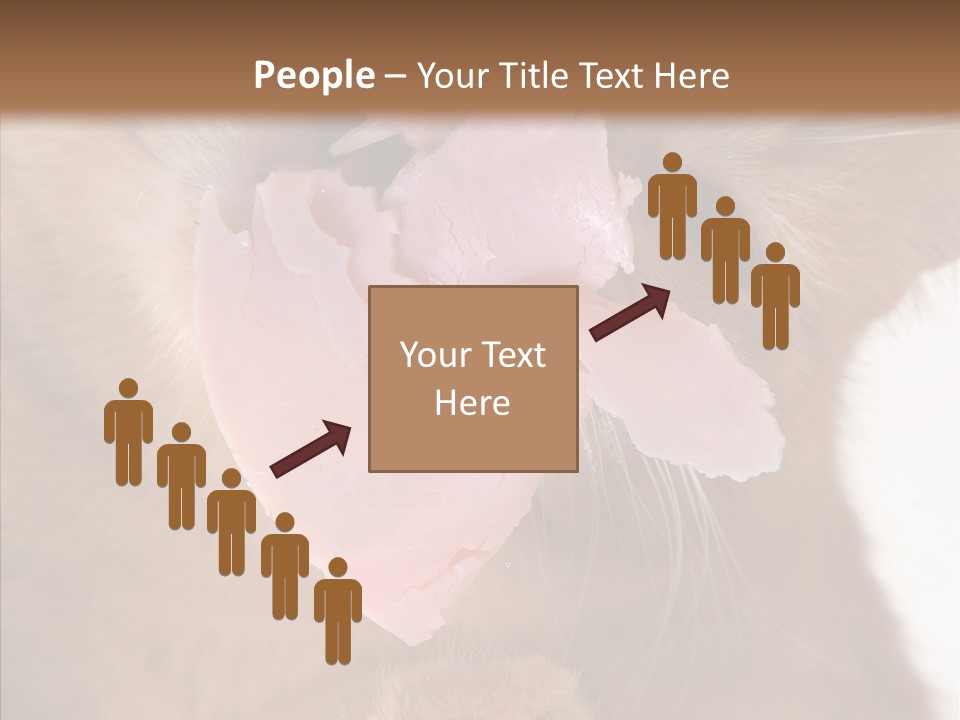 Gass Fauna Kitten PowerPoint Template