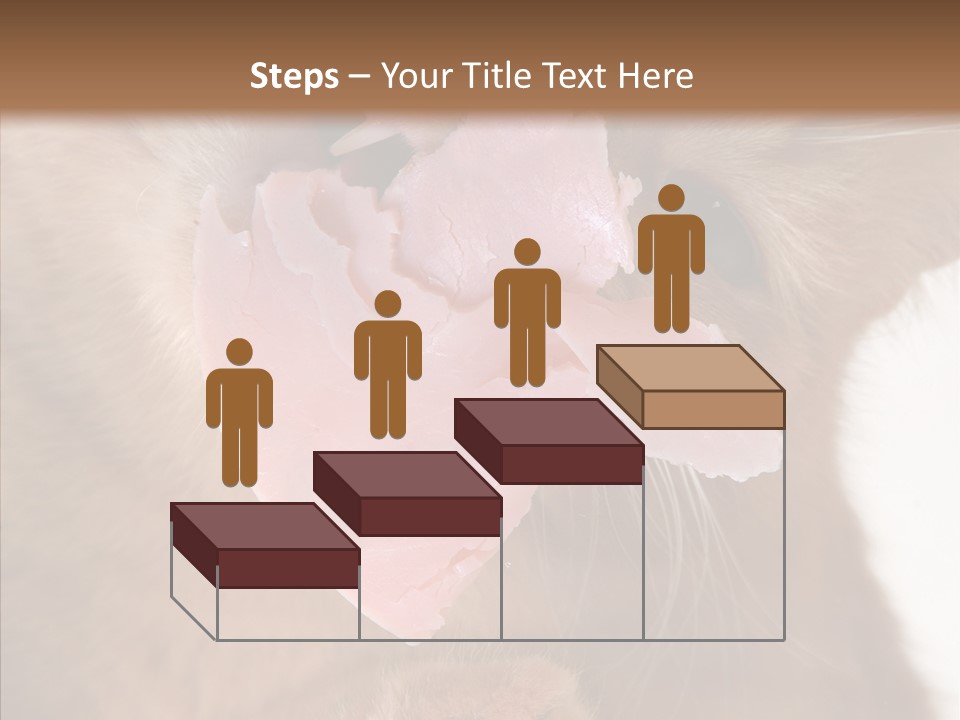 Gass Fauna Kitten PowerPoint Template