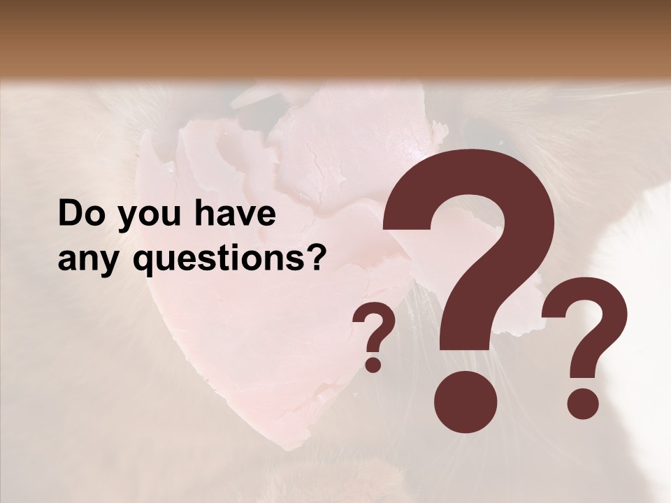 Gass Fauna Kitten PowerPoint Template