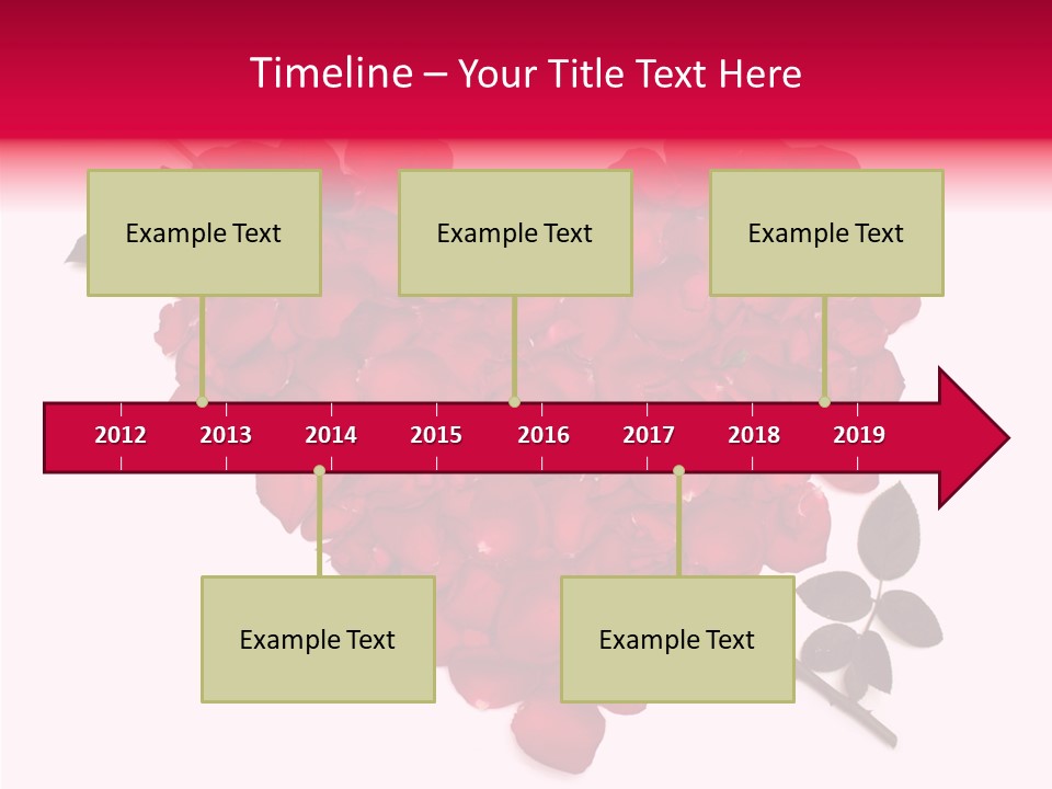 Profe Ional Boardroom Figure PowerPoint Template