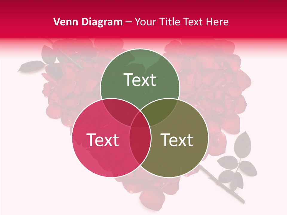 Profe Ional Boardroom Figure PowerPoint Template