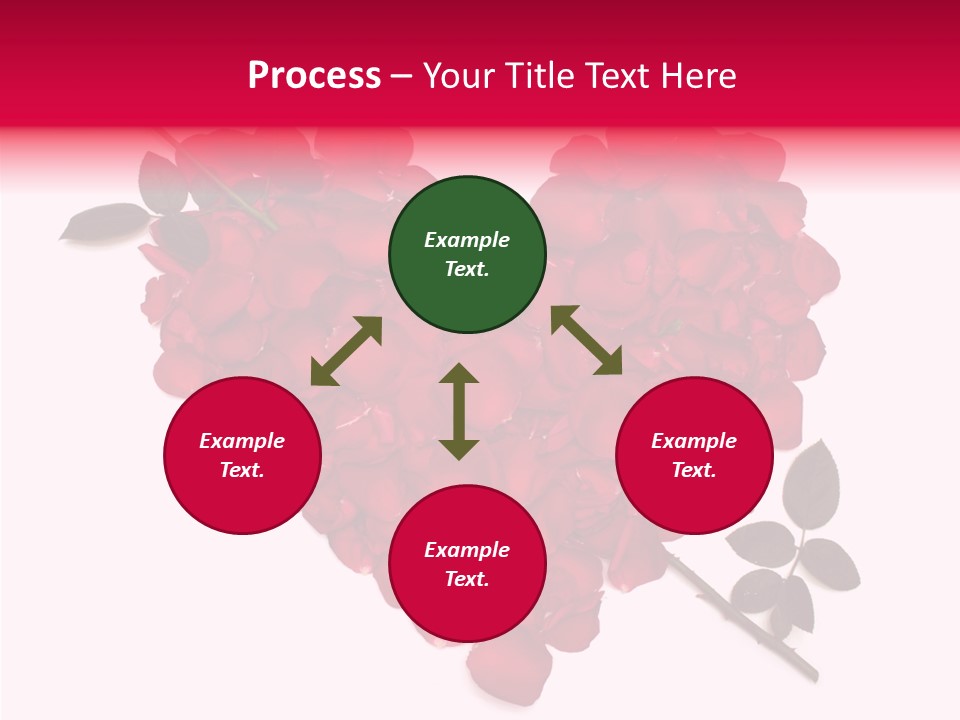 Profe Ional Boardroom Figure PowerPoint Template