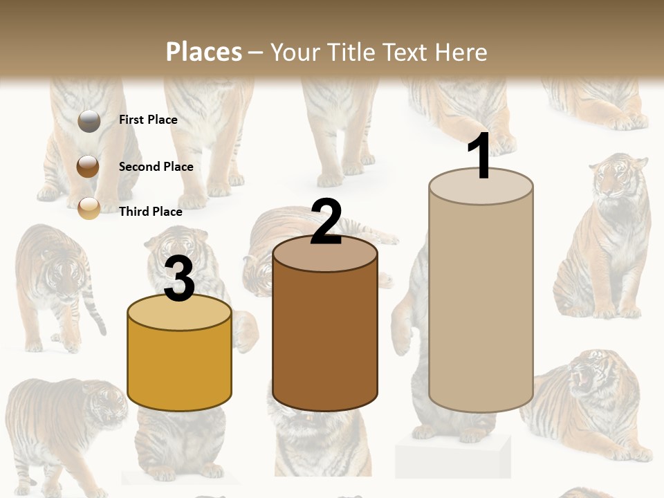 Feline Majestic Tiger PowerPoint Template
