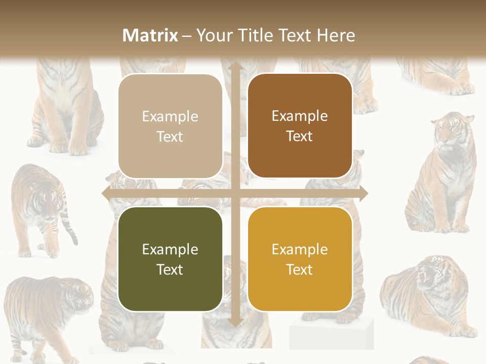 Feline Majestic Tiger PowerPoint Template