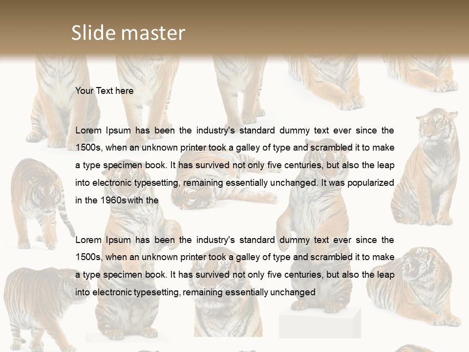 Feline Majestic Tiger PowerPoint Template